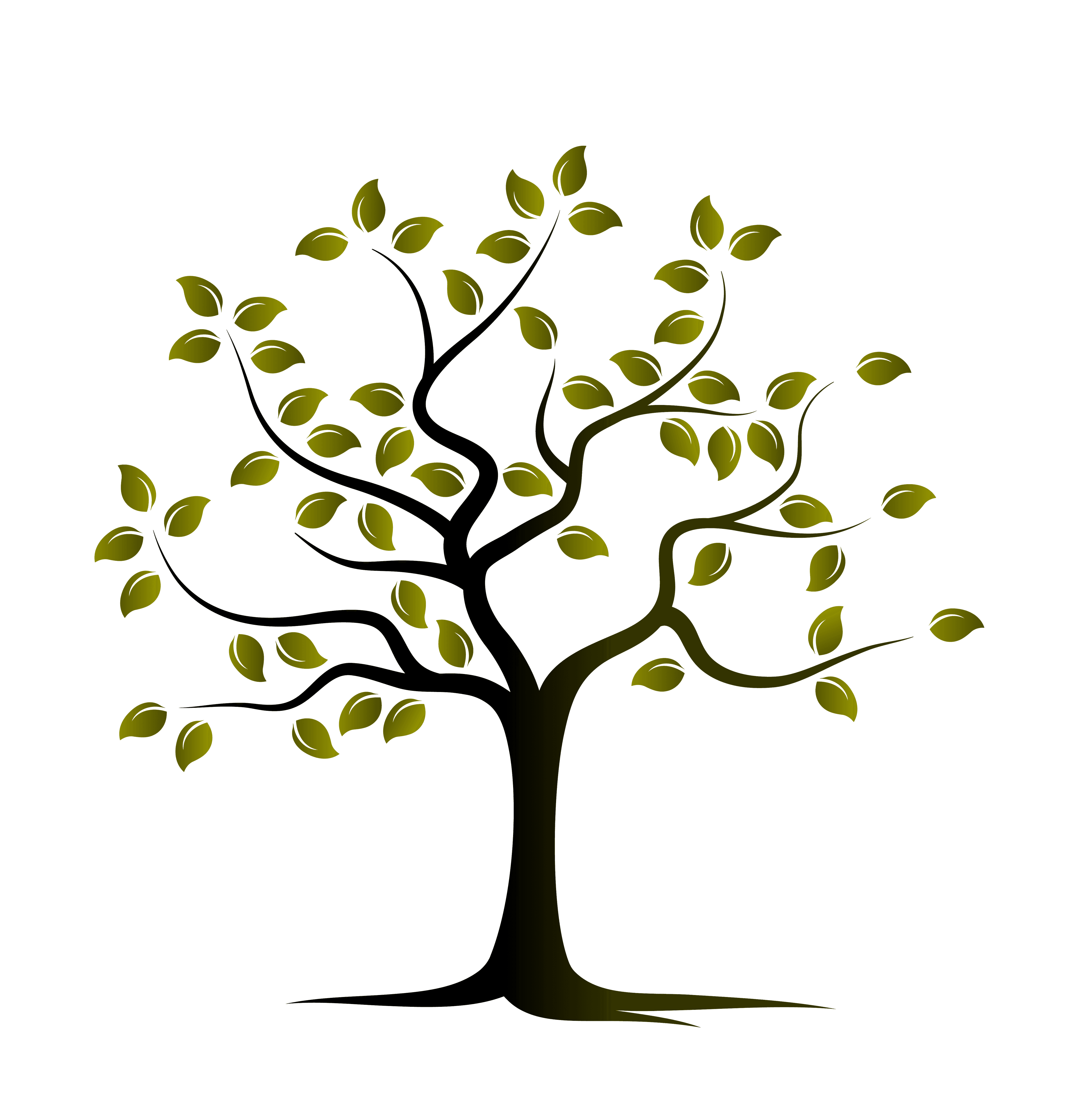 Pear tree