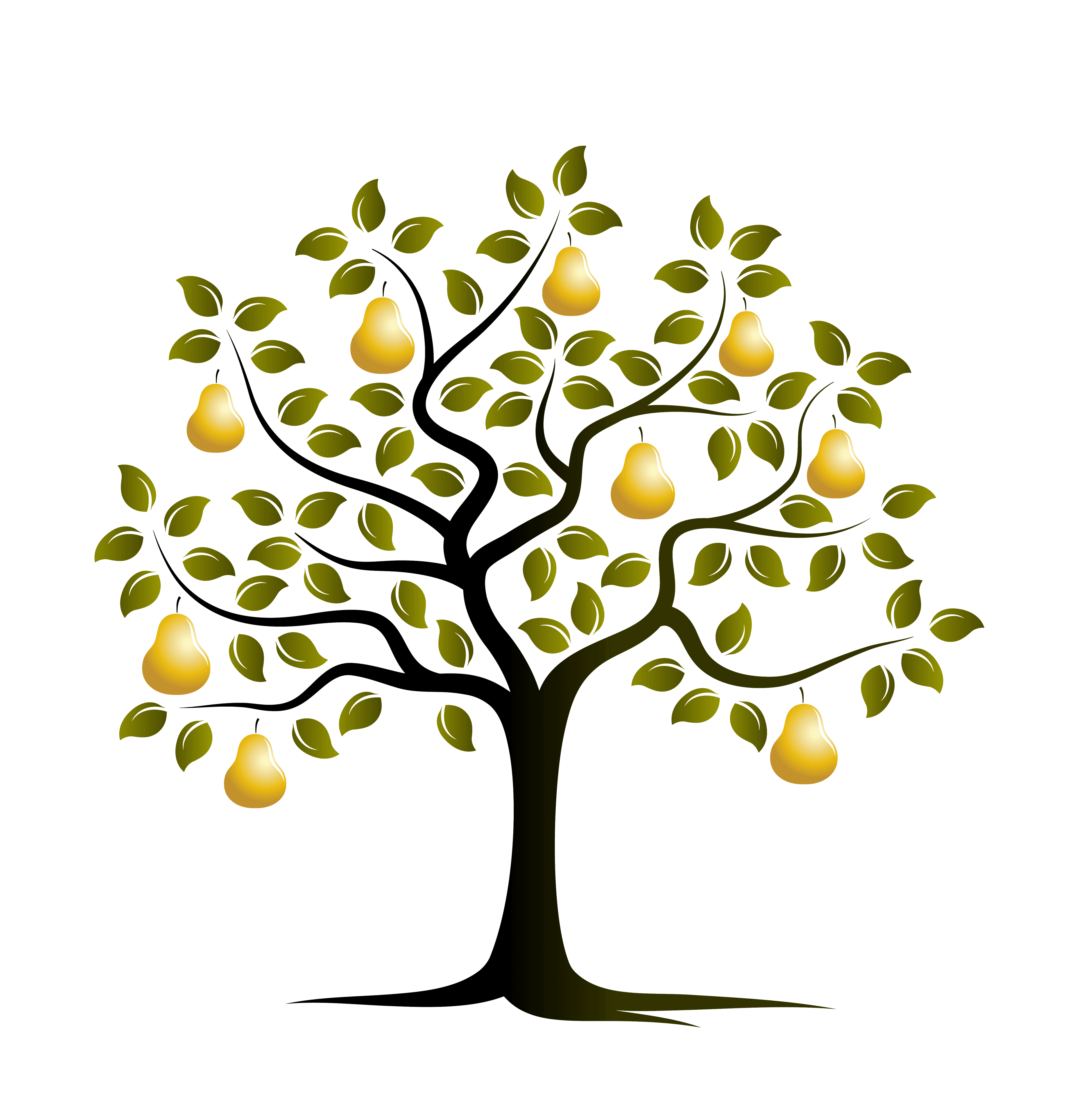 Pear tree